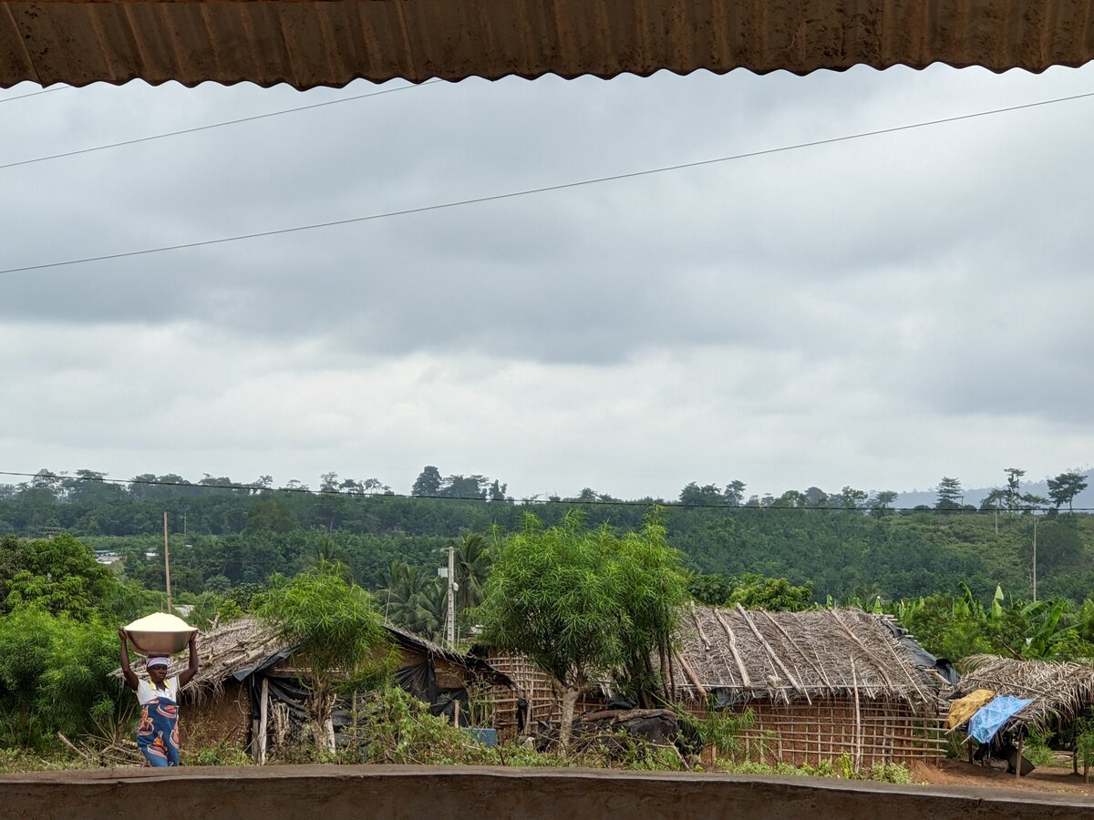 Village landscape with traditional structures